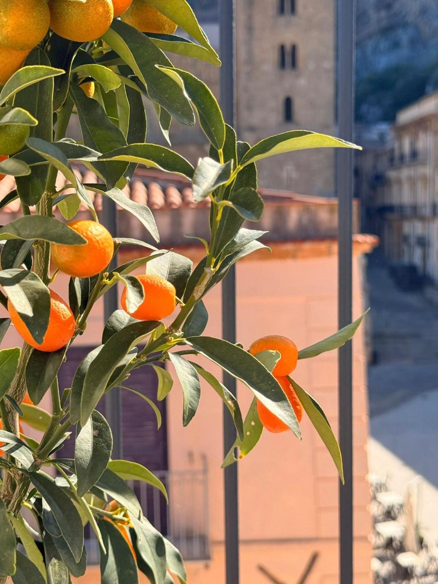 Palazzo Villelmi Cefalu Bagian luar foto